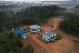 BKSDA Jambi Dorong Pengelolaan Kolaboratif Lanskap Bukit Tigapuluh untuk Lindungi Satwa